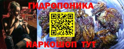 молекула духа Славгород