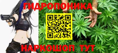 молекула духа Славгород
