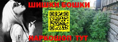 молекула духа Славгород