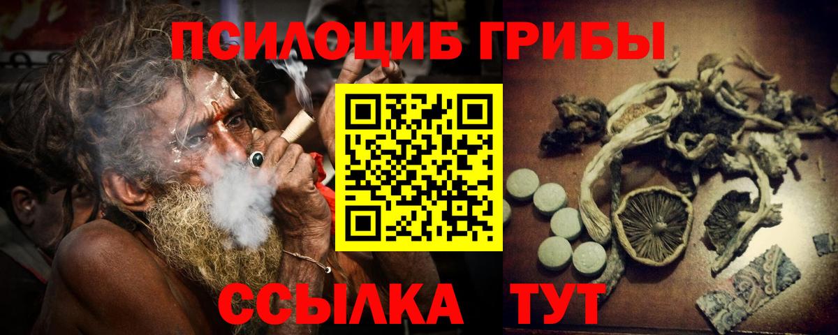 Полысаево  Галлюциногенные грибы Psilocybine cubensis  Вход с VPN 